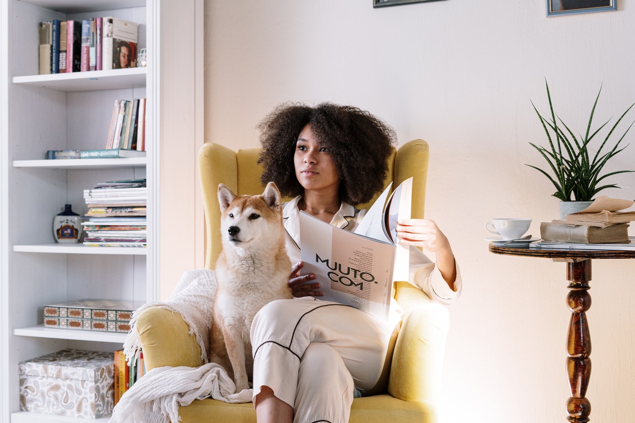 pet financing