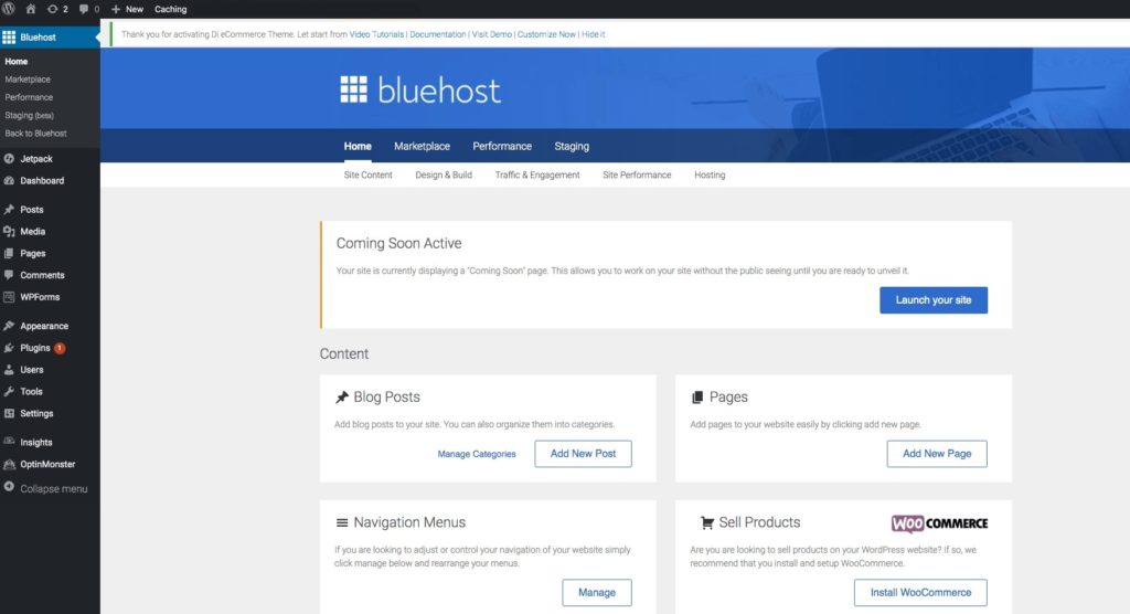 how to start a blog and make money with bluehost